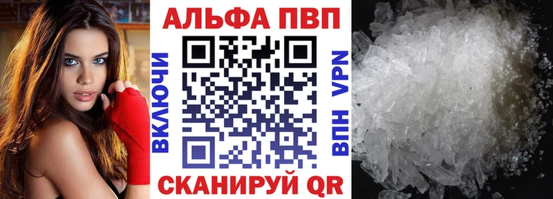 Alfa_PVP СК КРИС  закладка  Новоржев 