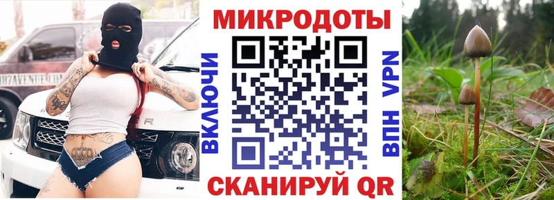 OMG ONION  Новоржев  Галлюциногенные грибы Cubensis 