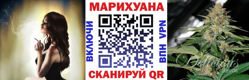 Бошки марихуана план  Новоржев 